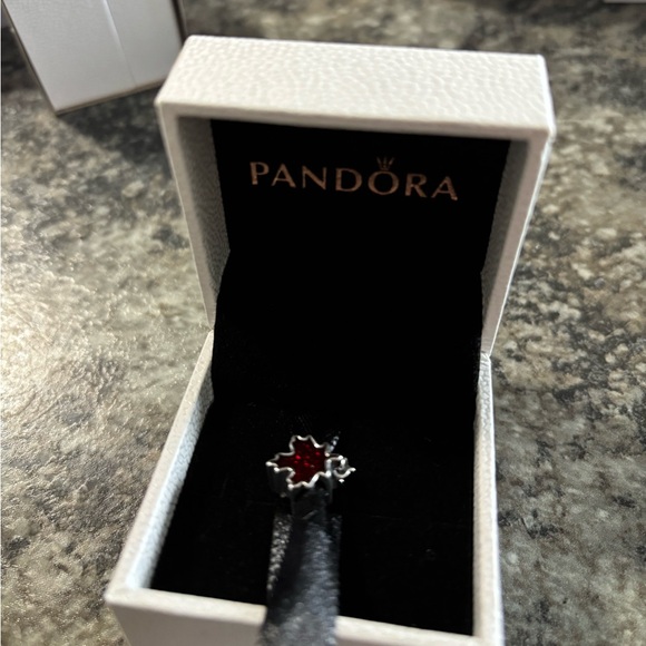 Charm - Picture 1 of 1